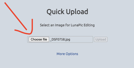 Lunapic upload section